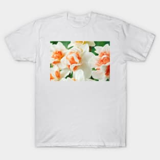 Narcissus  &#39;Replete&#39;    Division 4 Double Daffodil T-Shirt